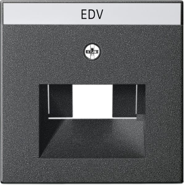 GIRA - Abd. BSF UAE/IAE + Netzwerk System 55 Anthrazit