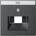 GIRA - Abd. BSF UAE/IAE + Netzwerk System 55 Anthrazit