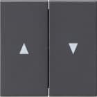 GIRA - Wippe 2f Pfeil System 55 Anthrazit