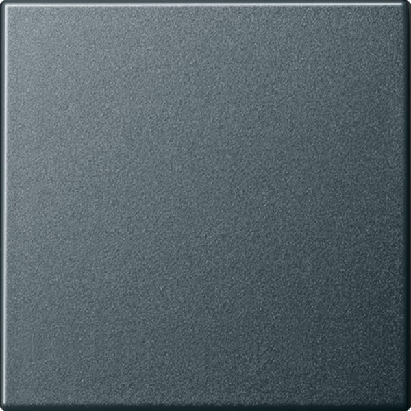GIRA - Wippe System 55 Anthrazit