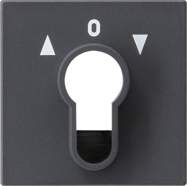 GIRA - Abd. Schlüsselschalter/-taster System 55 Anthrazit