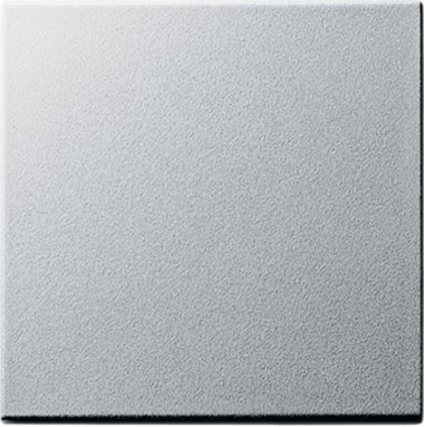 GIRA - Wippe System 55 F Alu