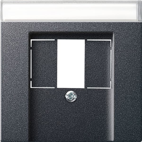 GIRA - Abd. BSF TAE USB System 55 Anthrazit