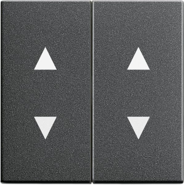GIRA - Wippe 2f Pfeile System 55 Anthrazit