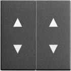 GIRA - Wippe 2f Pfeile System 55 Anthrazit