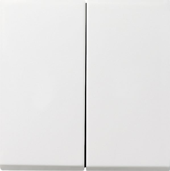 GIRA - Wippe 2f Flächenschalter Reinweiß