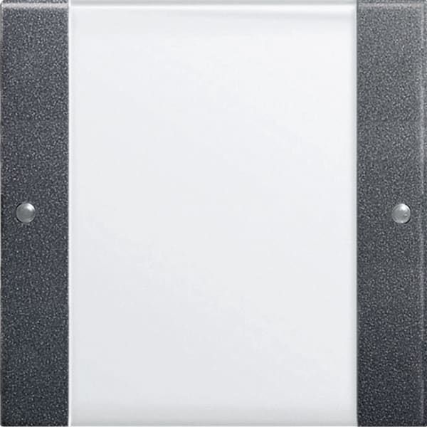 GIRA - Wippenset 1f Beschriftungsfeld System 55 Klar/Anthrazit