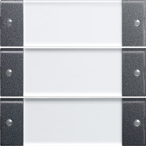 GIRA - Wippenset 3f Beschriftungsfeld System 55 Klar/Anthrazit