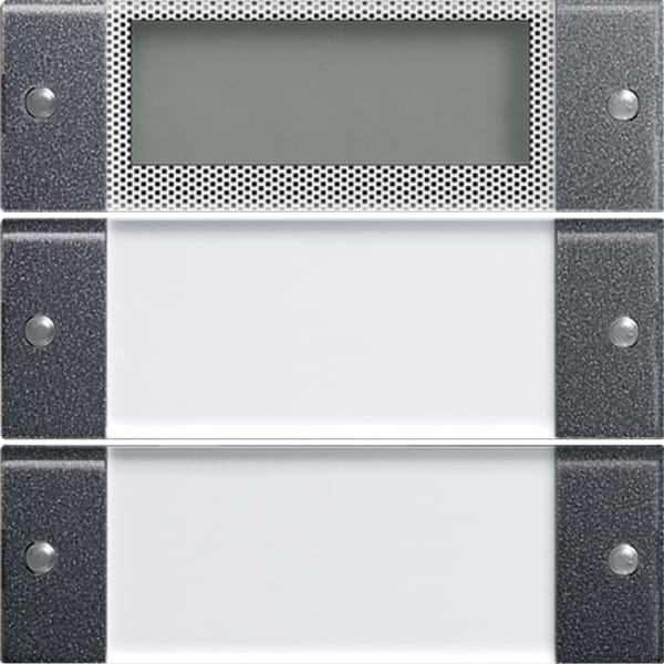 GIRA - Wippenset 2f Plus Beschriftungsfeld System 55 Klar/Anthrazit