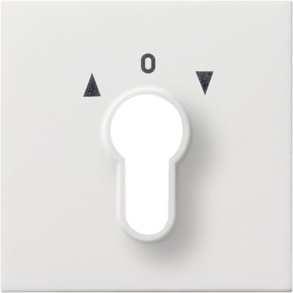 GIRA - Abd. Schlüsselschalter/-taster Flächenschalter Reinweiß