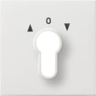 GIRA - Abd. Schlüsselschalter/-taster Flächenschalter Reinweiß
