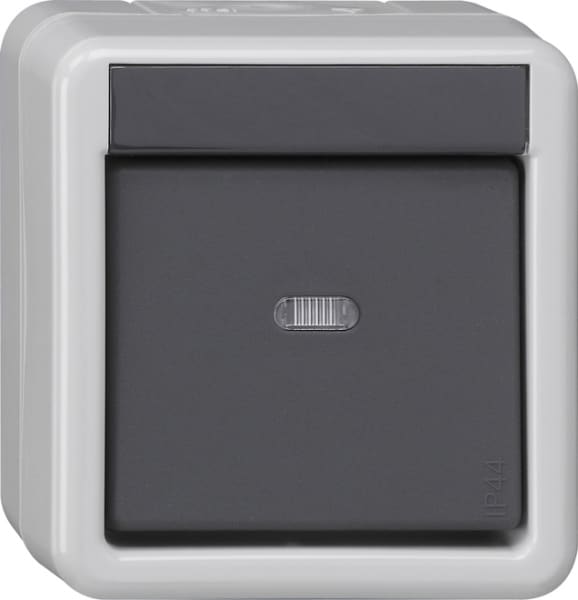 GIRA - KNX Taster-BA 1f Kontrollfenster + 1-Punkt WG AP Grau
