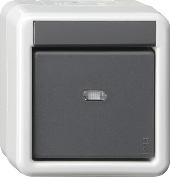 GIRA - KNX Taster-BA 1f Kontrollfenster + 2-Punkt WG AP Grau