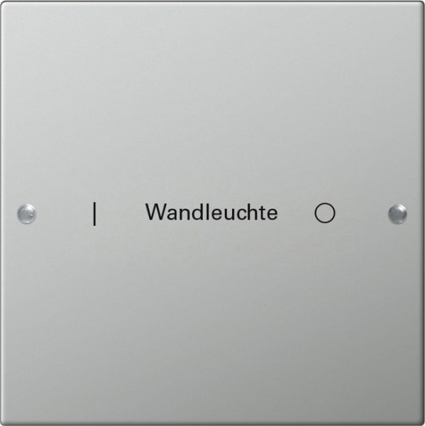 GIRA - Wippenset 1f beschr. System 55 Edelstahl
