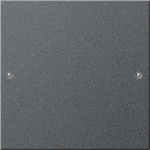 GIRA - Wippenset 1f System 55 Anthrazit (lackiert)