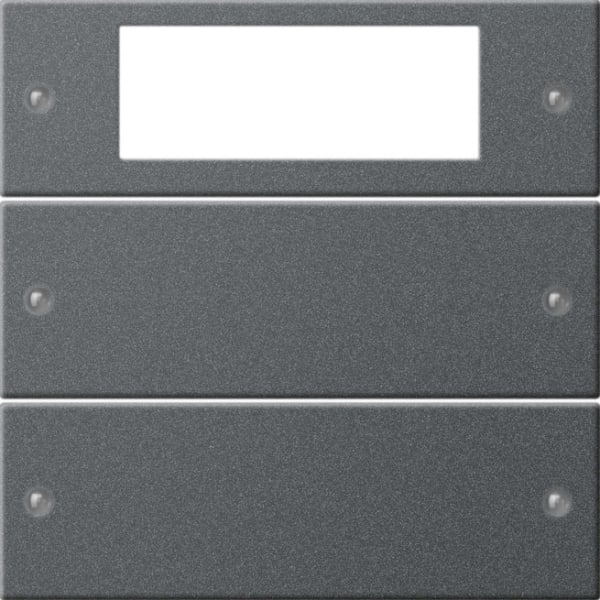 GIRA - Wippenset 2f Plus System 55 Anthrazit (lackiert)