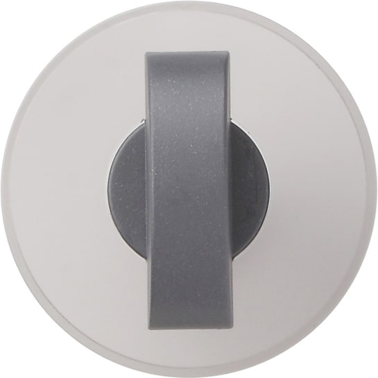 GIRA - Knebel System 55 Anthrazit