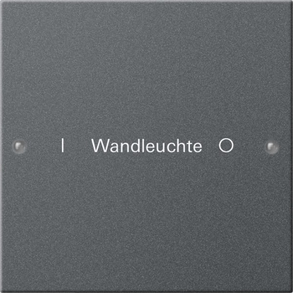 GIRA - Wippenset 1f beschr. System 55 Anthrazit(lack.)