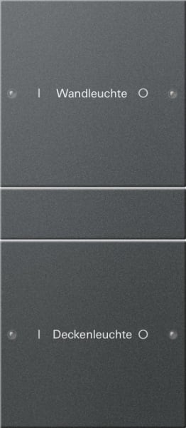 GIRA - Wippenset 2f (1+1) beschr. System 55 Anthrazit(lack.)
