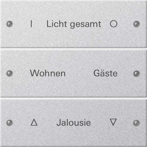 GIRA - Wippenset 3f beschr. System 55 F Alu(lack.)