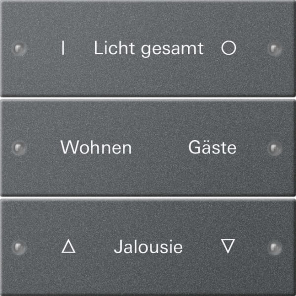 GIRA - Wippenset 3f beschr. System 55 Anthrazit(lack.)