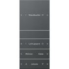GIRA - Wippenset 4f (1+3) beschr. System 55 Anthrazit(lack.)