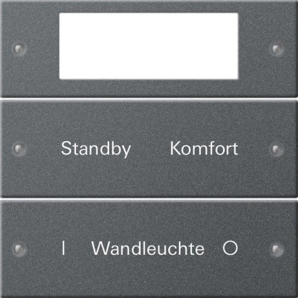 GIRA - Wippenset 2f Plus beschr. System 55 Anthrazit(lack.)