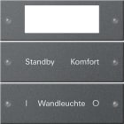 GIRA - Wippenset 2f Plus beschr. System 55 Anthrazit(lack.)