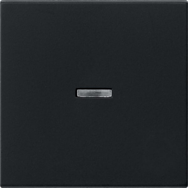 GIRA - Wippe Kontrollf. System 55 Schwarz m