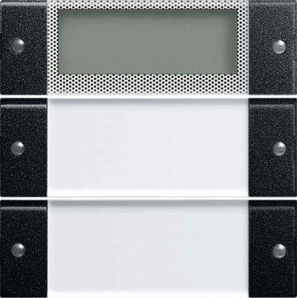 GIRA - Wippenset 2f Plus Beschriftungsfeld System 55 Klar/Schwarz matt