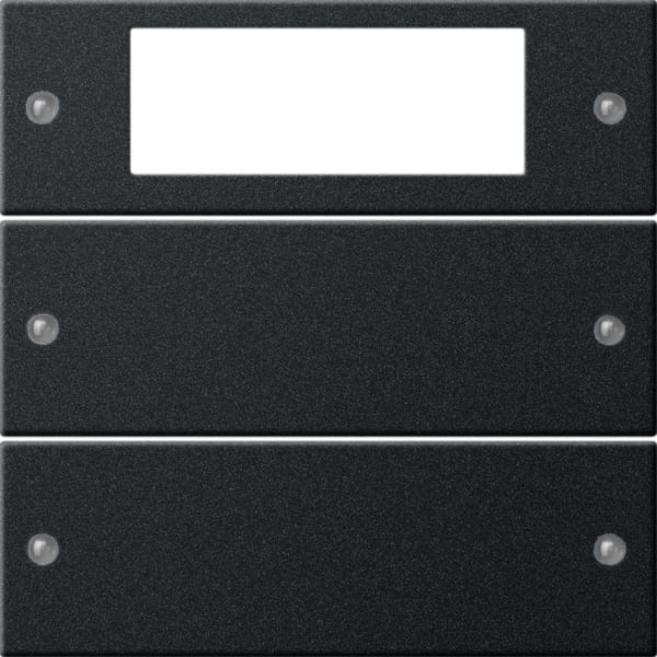 GIRA - Wippenset 2f Plus System 55 Schwarz matt(lack.)