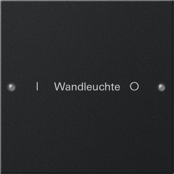 GIRA - Wippenset 1f beschr. System 55 Schwarz m(lack.)