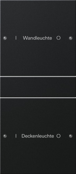 GIRA - Wippenset 2f (1+1) beschr. System 55 Schwarz m(lack.)