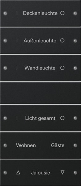 GIRA - Wippenset 6f (3+3) beschr. System 55 Schwarz m(lack.)