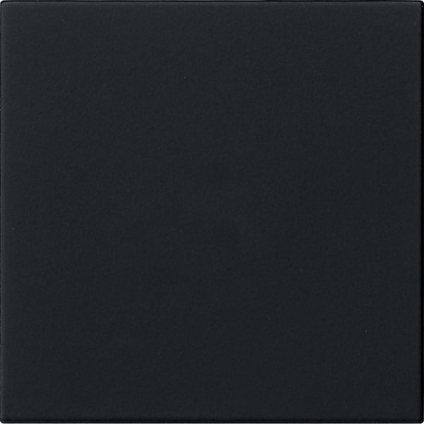 GIRA - S3000 Bedienaufs. System 55 Schwarz m