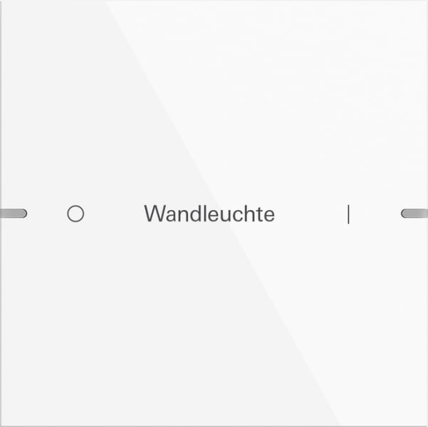 GIRA - Wippenset 1f individuell Tastsensor 4 TS4 Reinweiß(lack.)