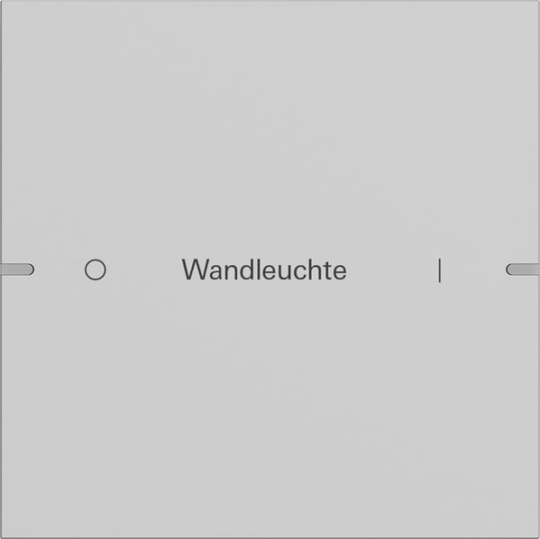 GIRA - Wippenset 1f individuell Tastsensor 4 TS4 Grau matt(lack.)