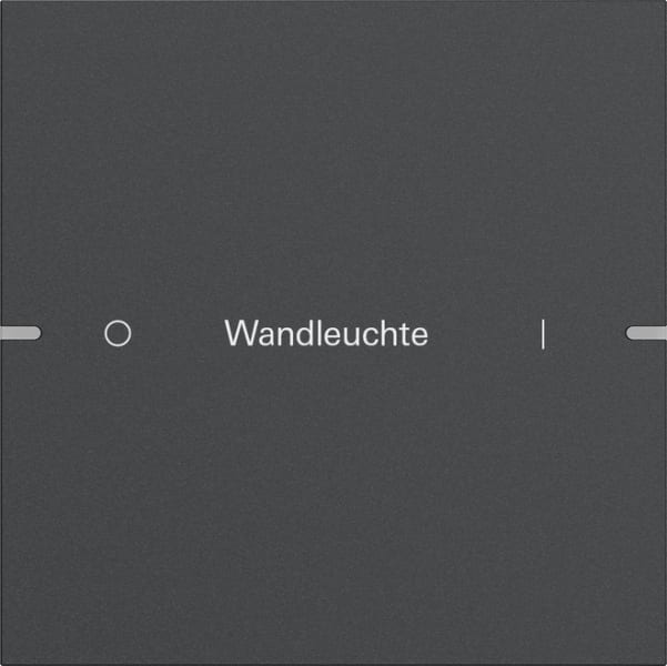 GIRA - Wippenset 1f individuell Tastsensor 4 TS4 Anthrazit(lack.)