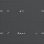 GIRA - Wippenset 2f individuell Tastsensor 4 TS4 Anthrazit(lack.)