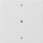 GIRA - KNX Taster Wippe 1f Pfeile Flächenschalter Reinweiß