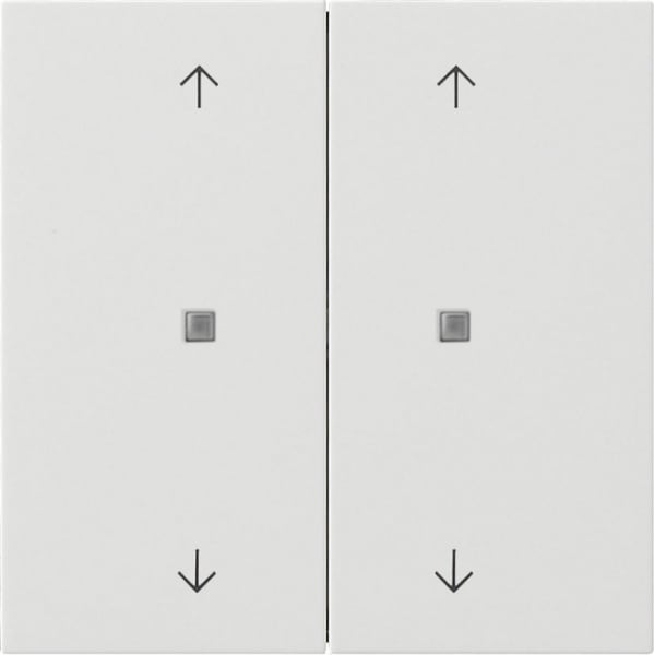 GIRA - KNX Taster Wippe 2f Pfeile Flächenschalter Reinweiß