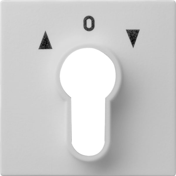 GIRA - Abd. Schlüsselschalter/-taster System 55 Grau m