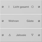 GIRA - Wippenset 3f beschr. System 55 Grau m(lack.)