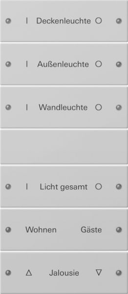 GIRA - Wippenset 6f (3+3) beschr. System 55 Grau m(lack.)