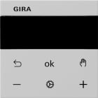 GIRA - S3000 Jal.- + Schaltuhr Display System 55 Grau m