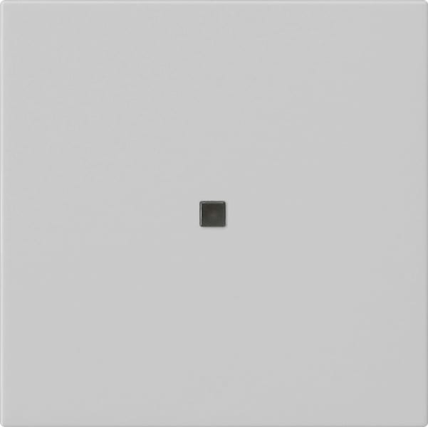 GIRA - Gira eNet Funk Bedienaufsatz System 55 Grau matt