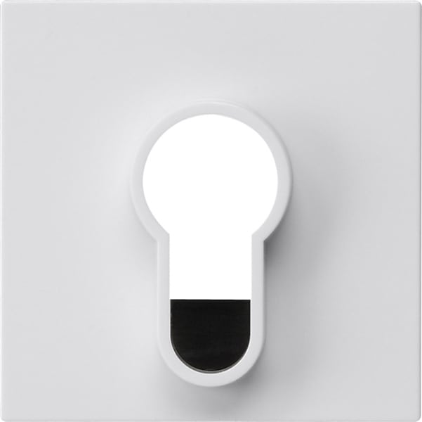 GIRA - Abd.Schlüsselschalter/-taster o.Aufdruck System 55 Reinweiß