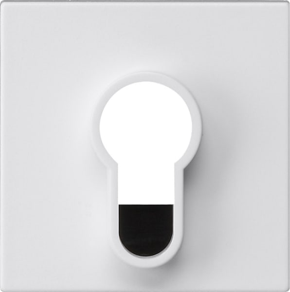 GIRA - Abd.Schlüsselschalter/-taster o.Aufdruck System 55 Reinweiß m