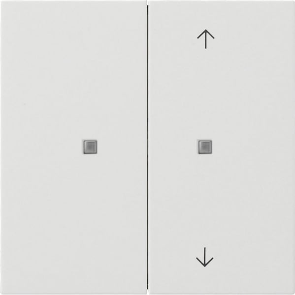 GIRA - KNX Taster Wippe 2f unbedruckt/Pfeile Flächenschalter Reinweiß
