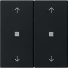 GIRA - Wippe 2f Pfeile Kontrollf. System 55 Schwarz m